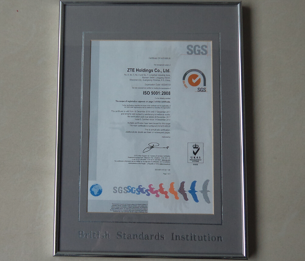 SGS British Standards Institution